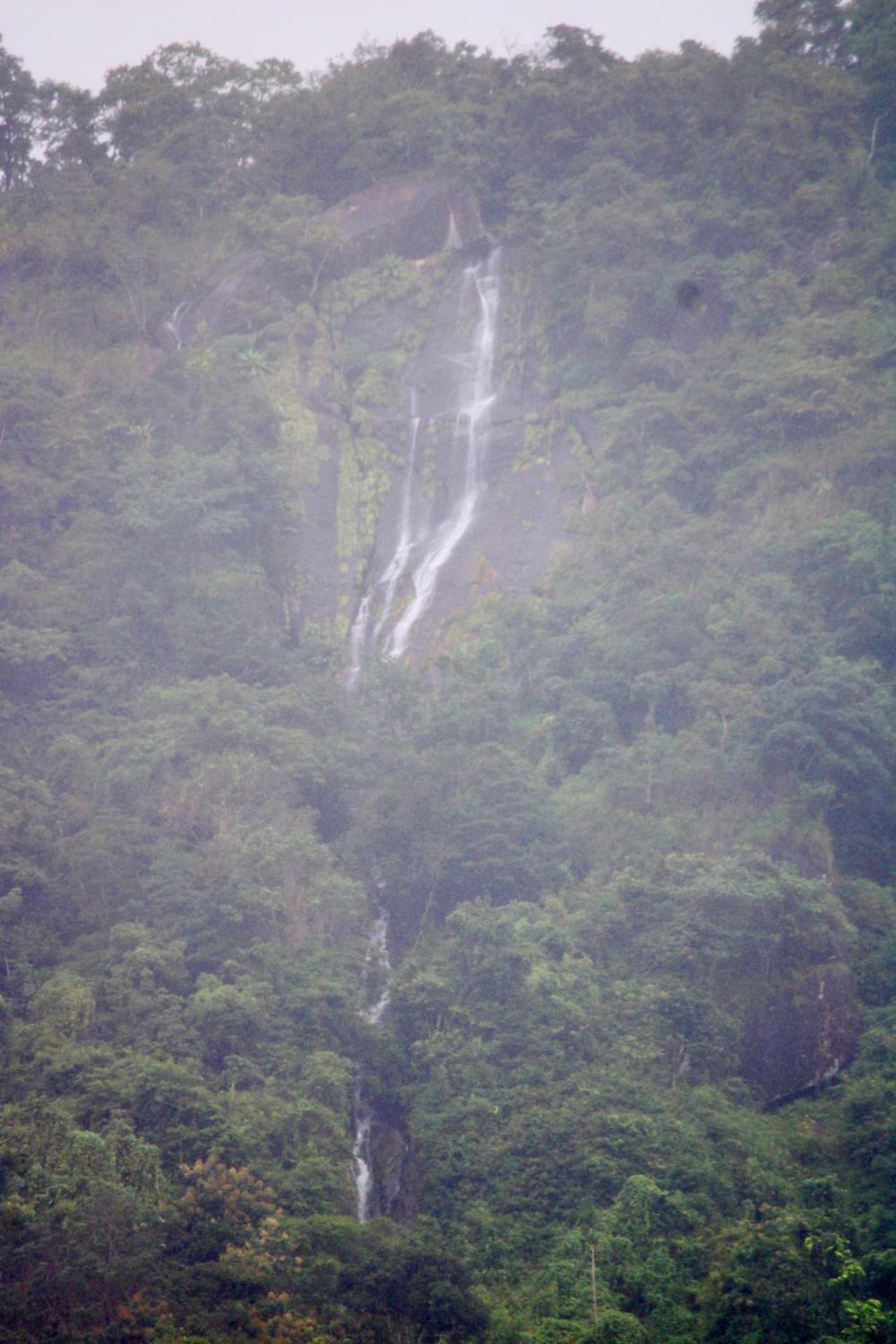 Mist Farm House Kudayattur المظهر الخارجي الصورة